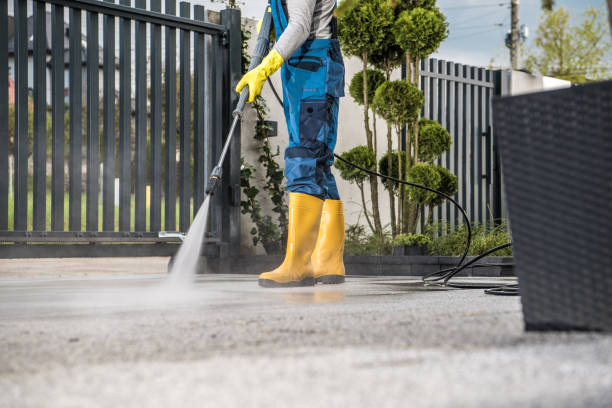 Best Gutter Cleaning  in Annandale, NJ